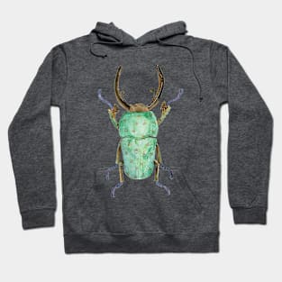 Beetle Hoodie